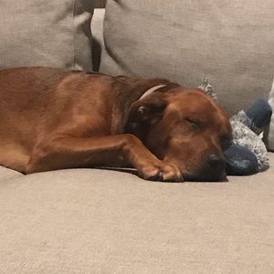 Meet your Posher, Randall